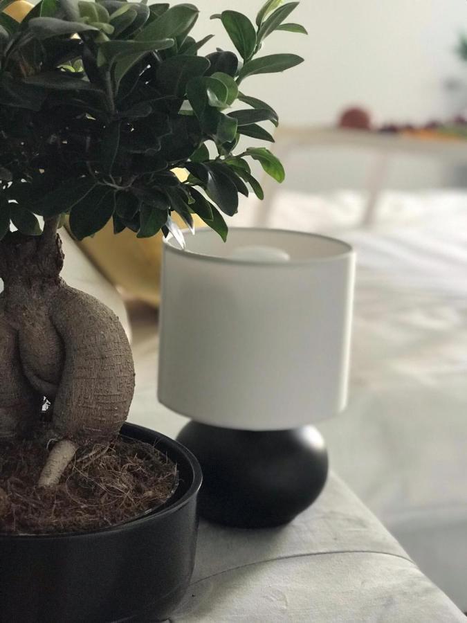 Apartamenty przy SUNTAGO Mszczonów Zewnętrze zdjęcie